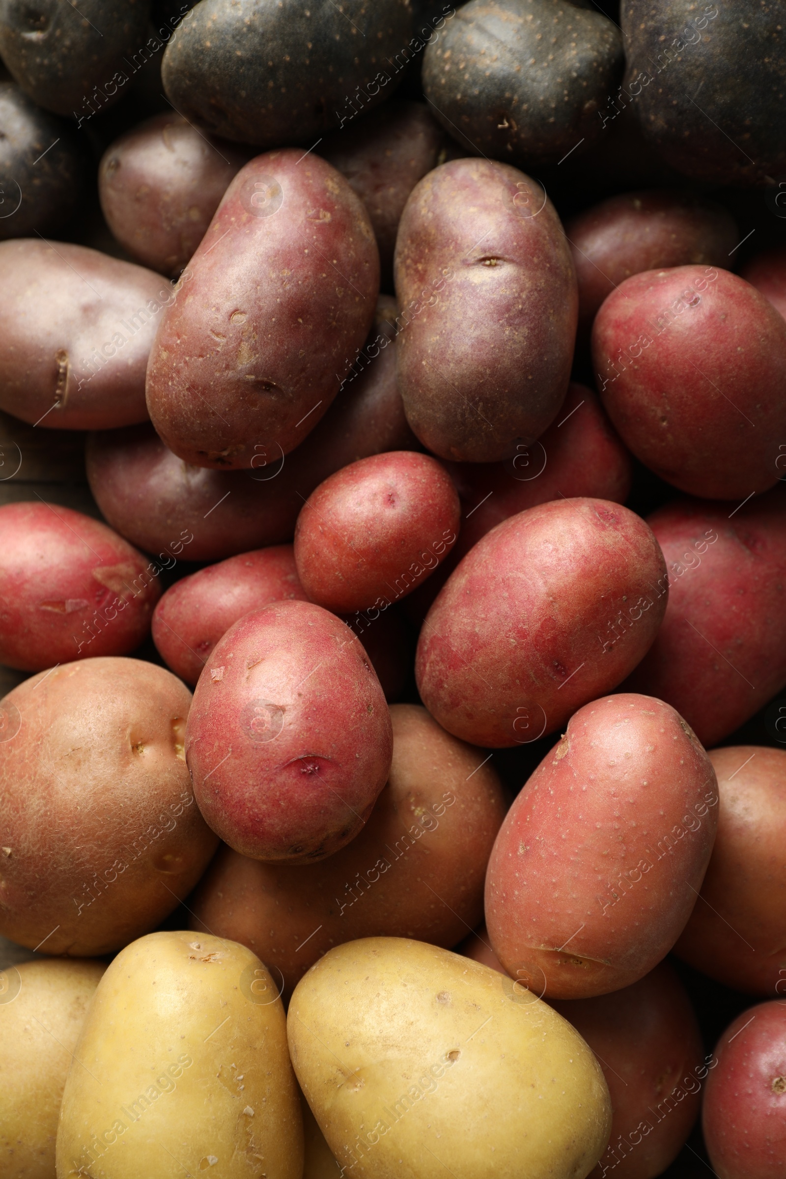 Photo of Different types of potatoes as background, top view