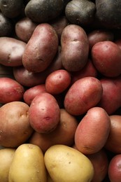 Photo of Different types of potatoes as background, top view