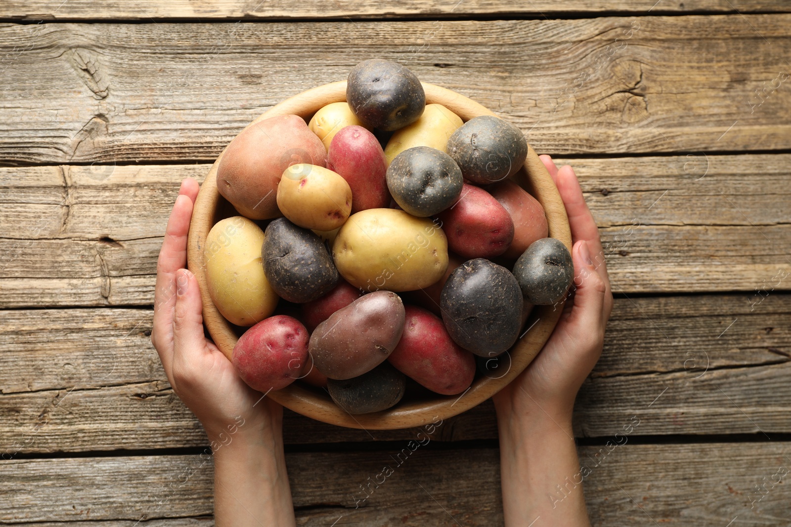 Photo of Woman with bowl of different types of potatoes at wooden table, top view