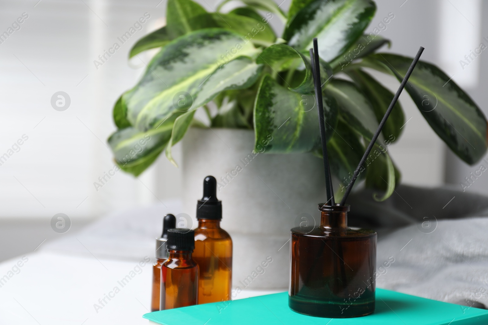 Spa composition with reed air freshener, cosmetic products and book on white table indoors, closeup Photo of Spa composition with reed air freshener, cosmetic products and book on white table indoors, closeup