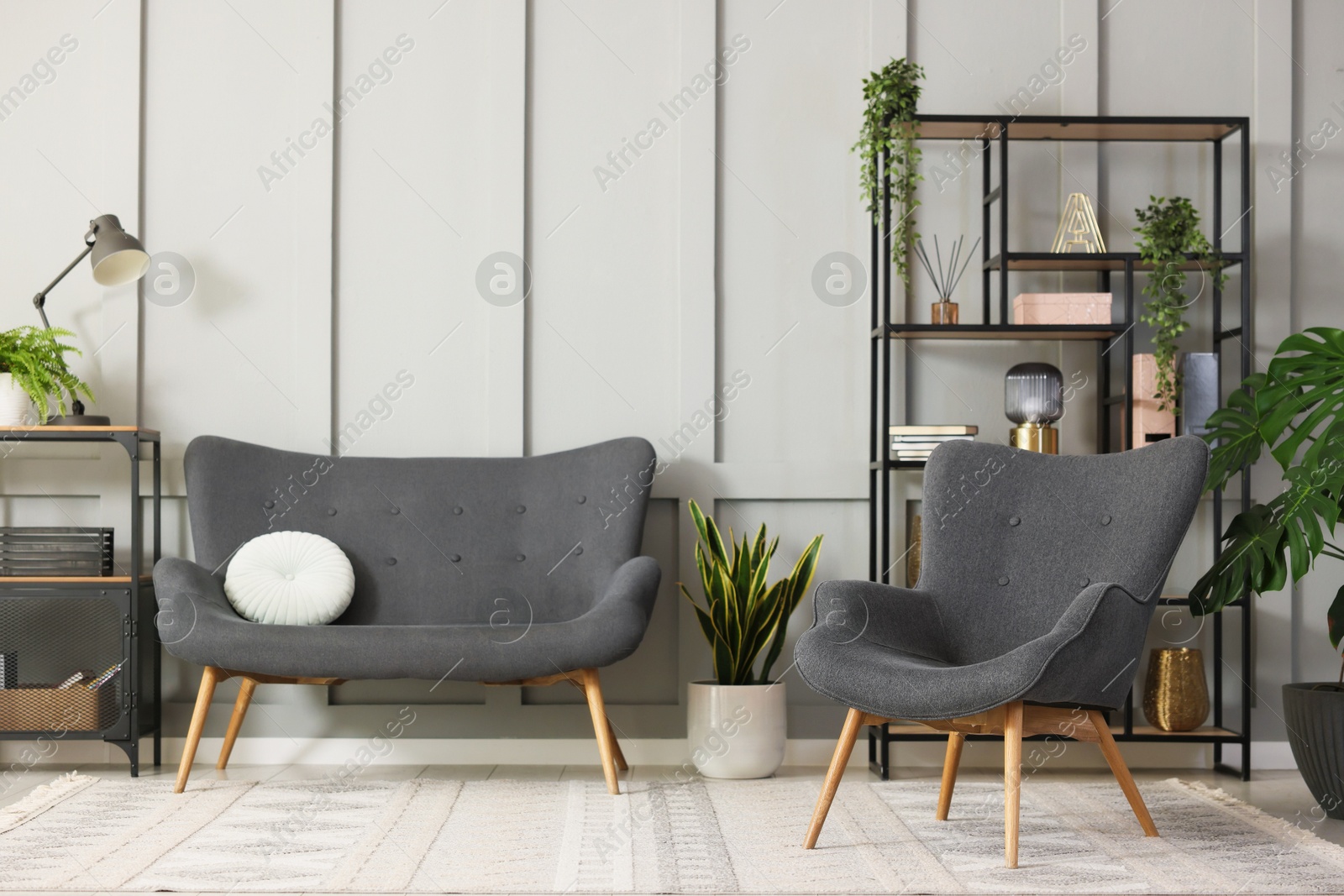 Stylish grey armchair, sofa, shelving unit and houseplants indoors. Interior design Photo of Stylish grey armchair, sofa, shelving unit and houseplants indoors. Interior design