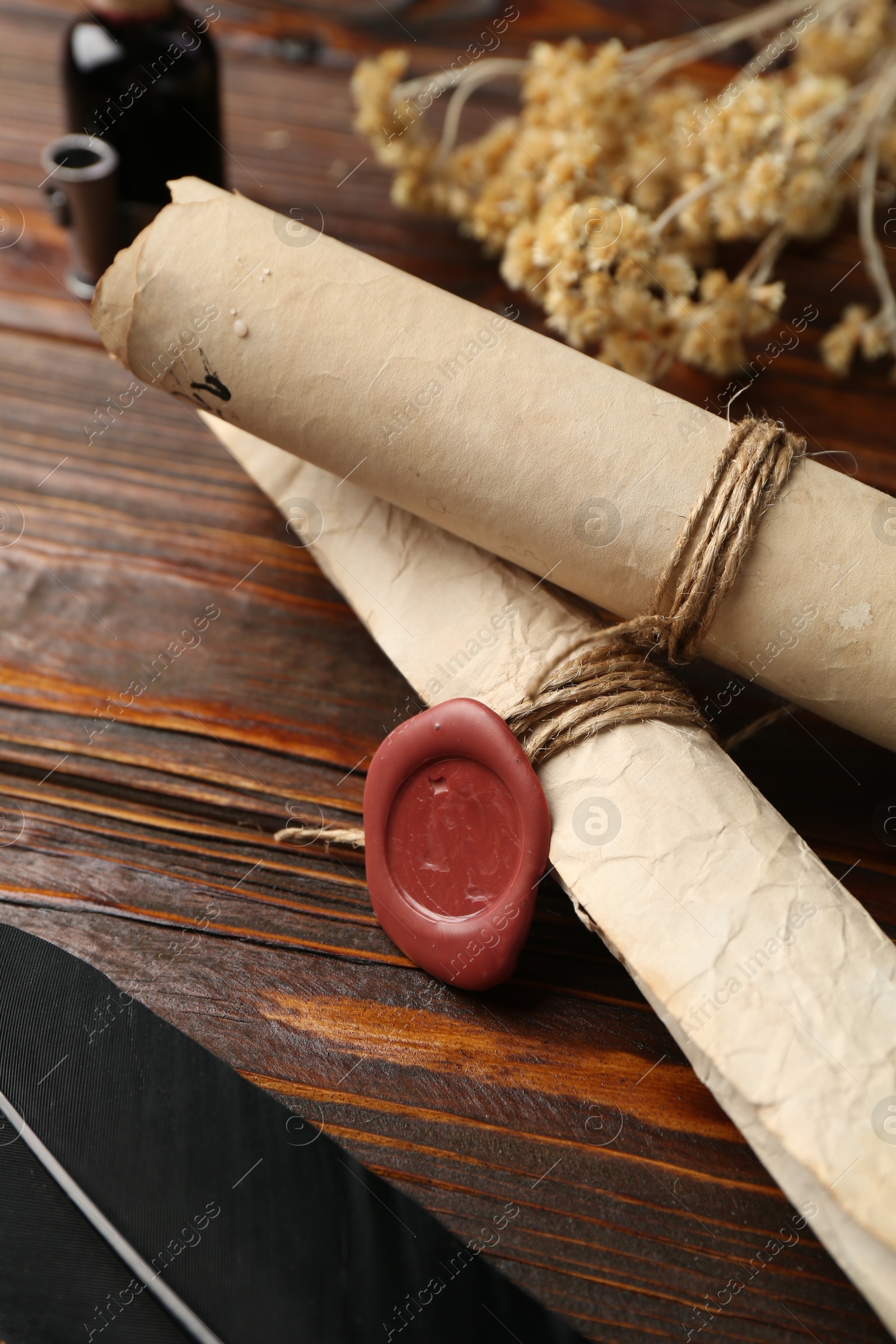 Old paper scrolls and feather on wooden table, closeup Photo of Old paper scrolls and feather on wooden table, closeup