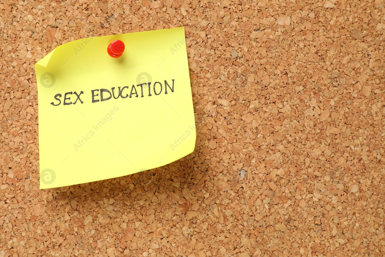 Photo of Note with phrase Sex Education pinned on cork board, closeup
