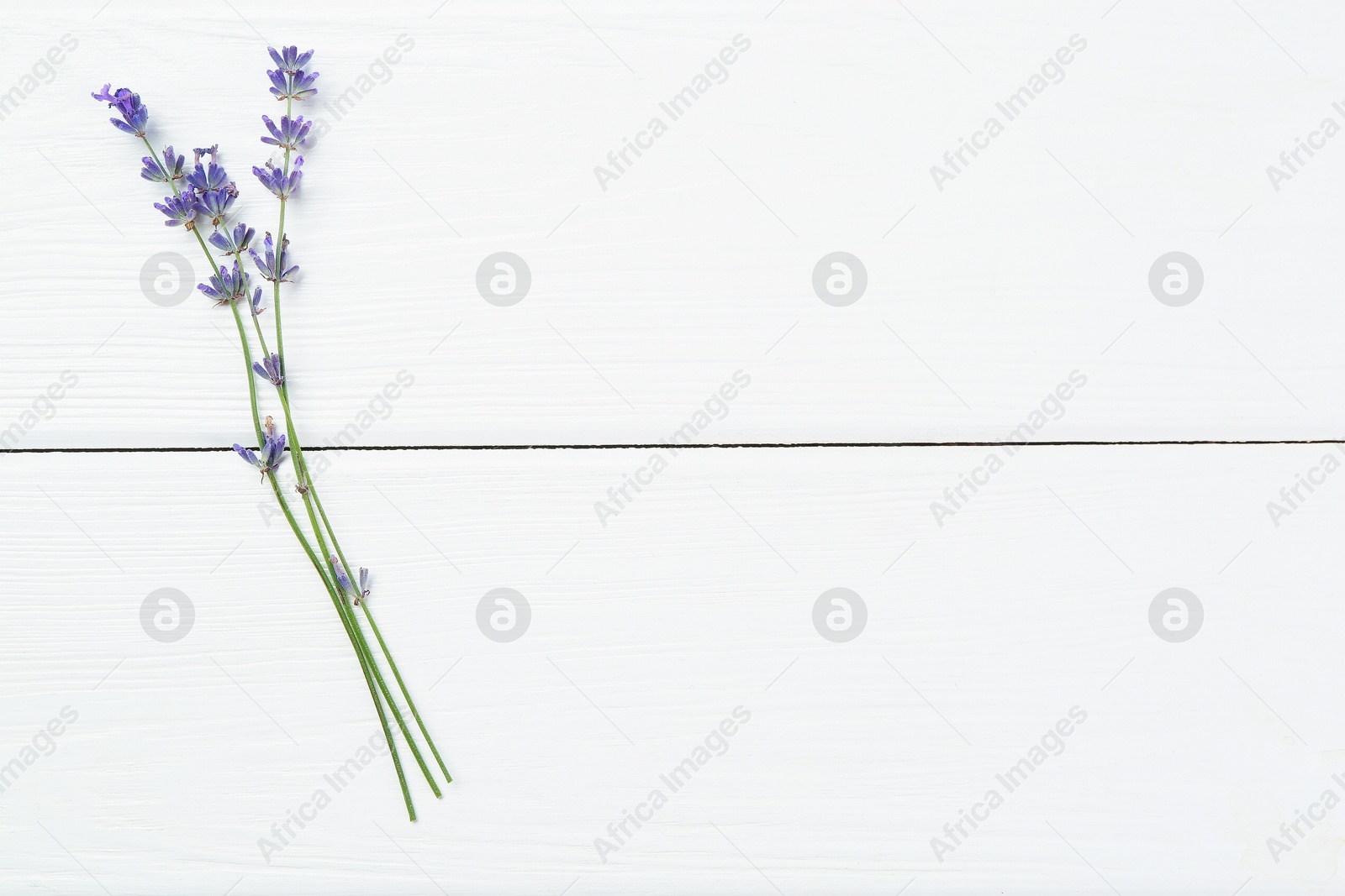 Photo of Beautiful lavender flowers on white wooden table, top view. Space for text