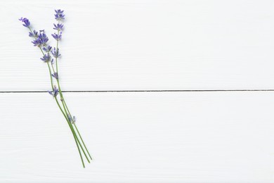 Photo of Beautiful lavender flowers on white wooden table, top view. Space for text