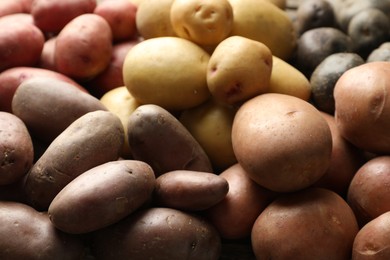 Photo of Different types of potatoes as background, closeup