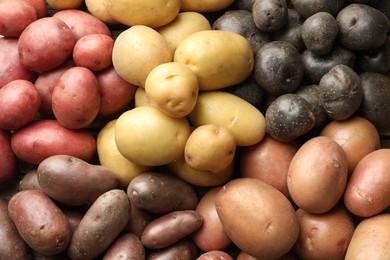 Photo of Different types of potatoes as background, top view