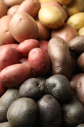 Photo of Different types of potatoes as background, closeup