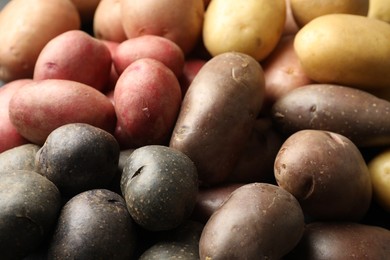 Photo of Different types of potatoes as background, closeup