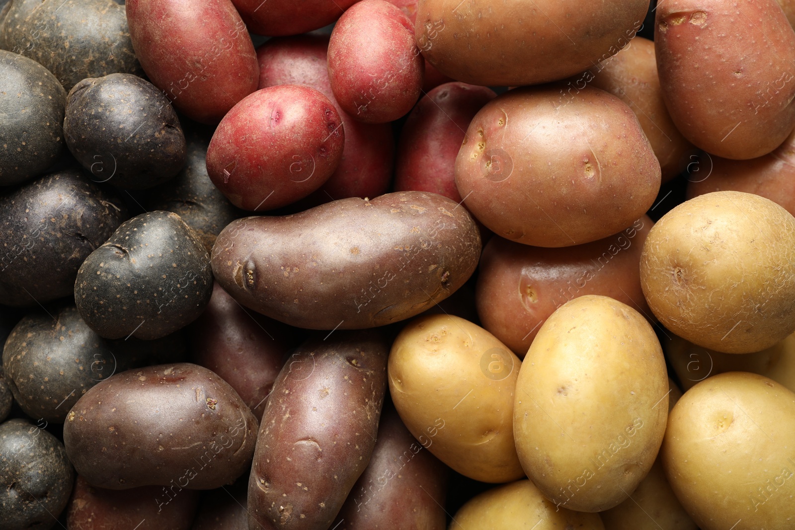 Photo of Different types of potatoes as background, top view