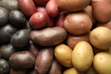 Photo of Different types of potatoes as background, top view