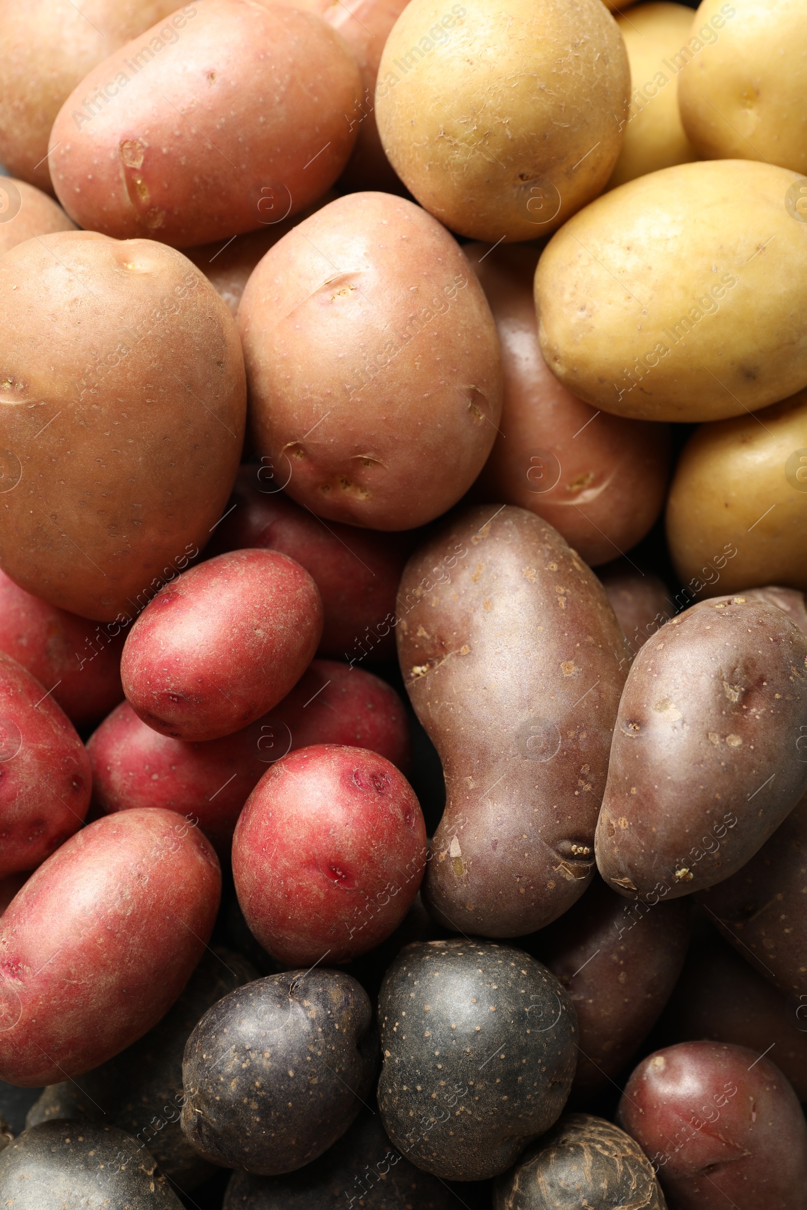 Photo of Different types of potatoes as background, top view
