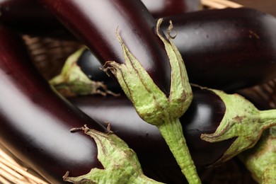 Photo of Many ripe raw eggplants in basket, closeup
