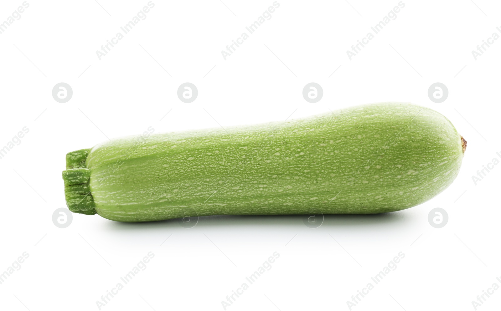 One fresh ripe zucchini isolated on white Photo of One fresh ripe zucchini isolated on white