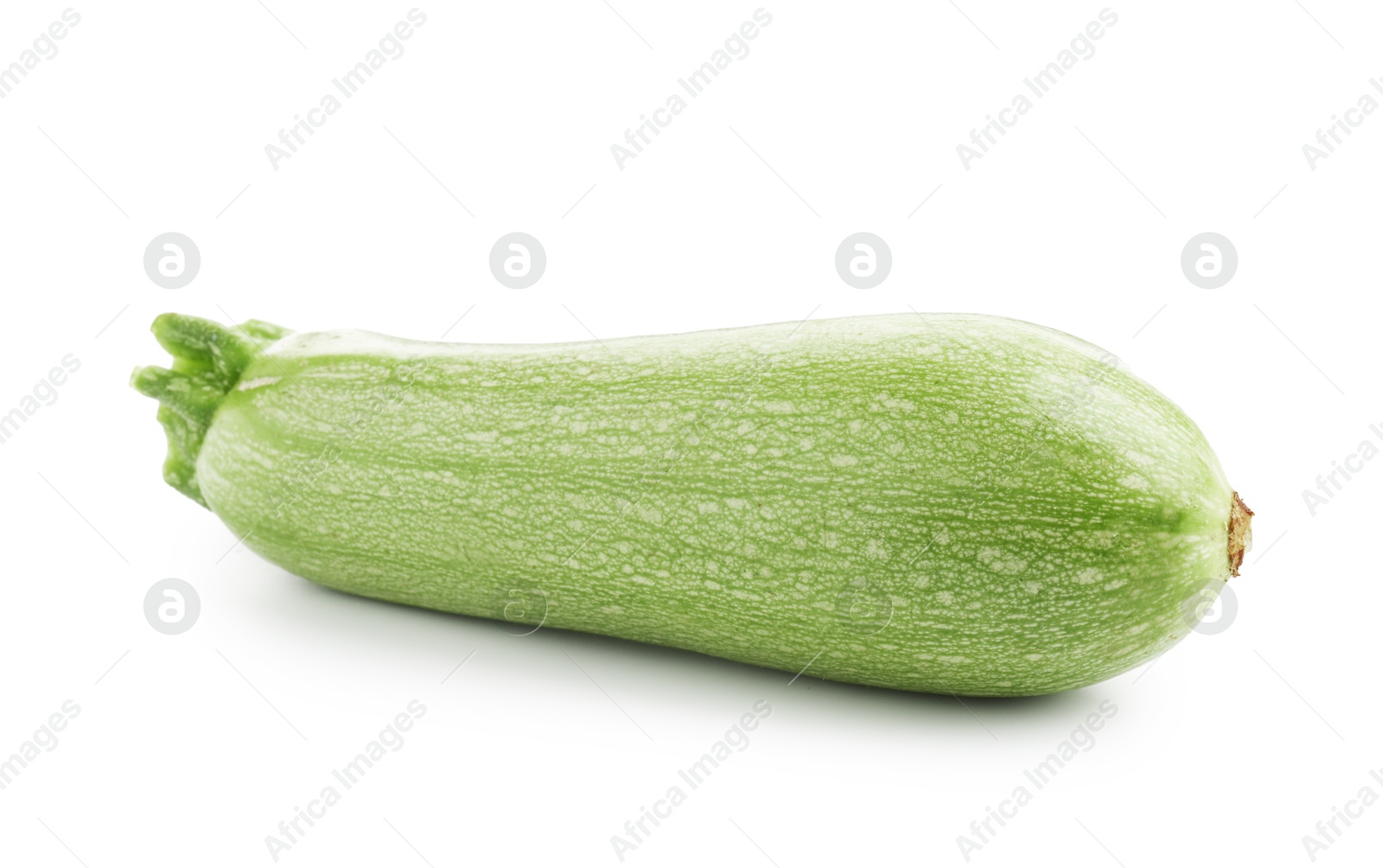 One fresh ripe zucchini isolated on white Photo of One fresh ripe zucchini isolated on white