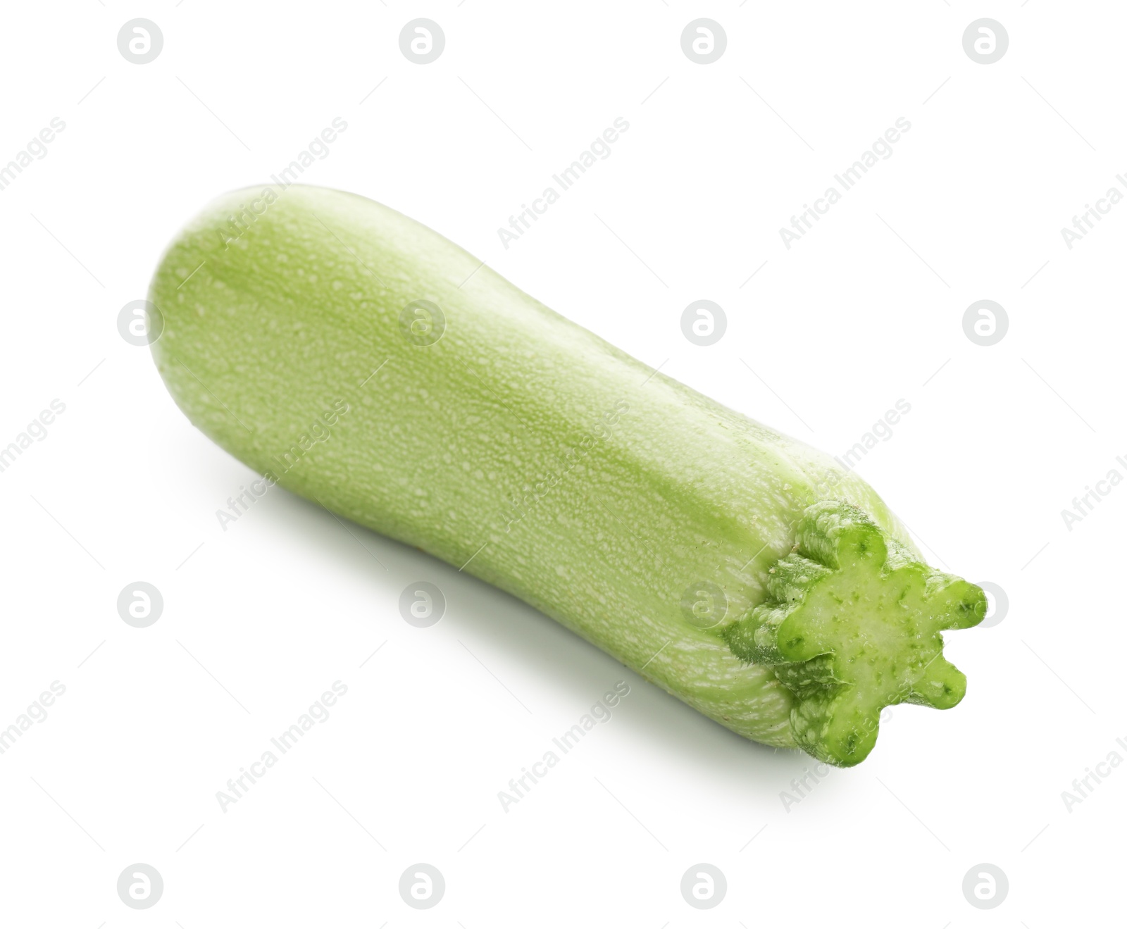 One fresh ripe zucchini isolated on white Photo of One fresh ripe zucchini isolated on white