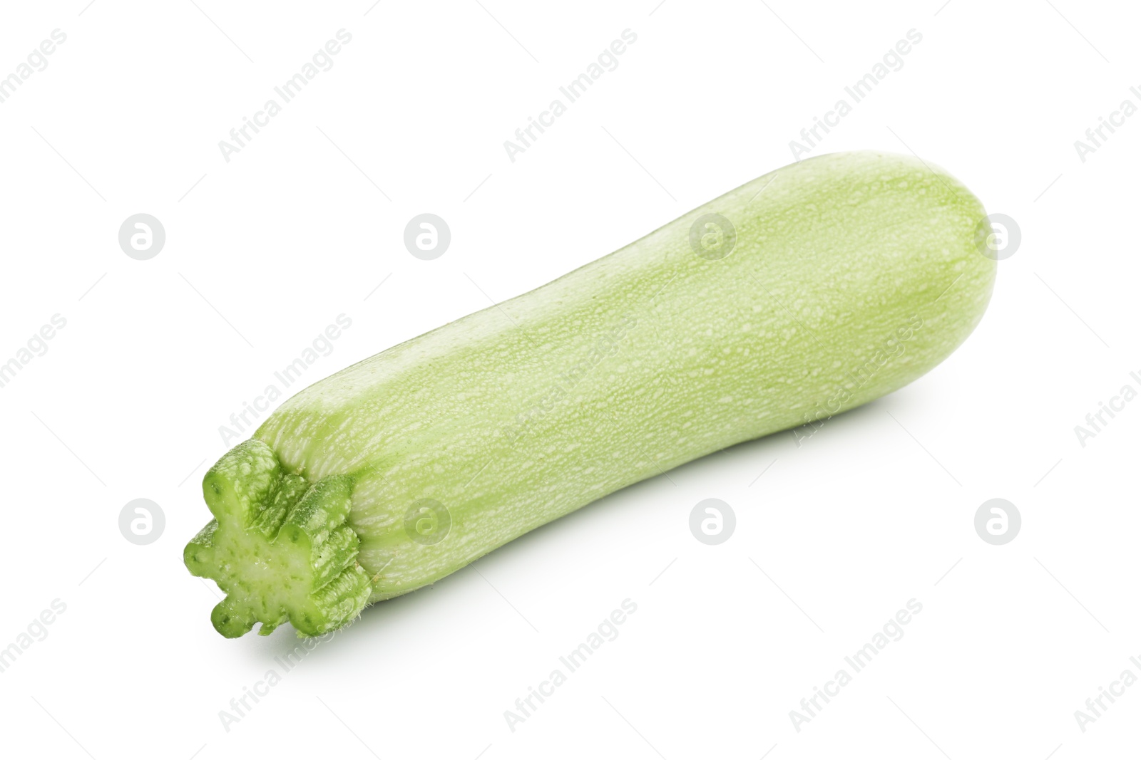 One fresh ripe zucchini isolated on white Photo of One fresh ripe zucchini isolated on white