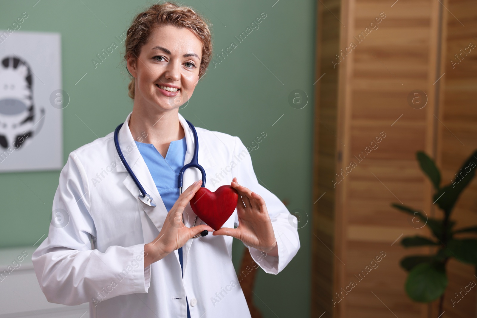 Professional pediatrician with heart model in clinic. Space for text Photo of Professional pediatrician with heart model in clinic. Space for text
