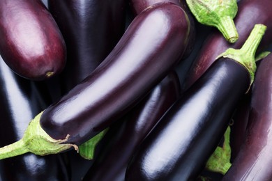 Photo of Many raw ripe eggplants as background, top view