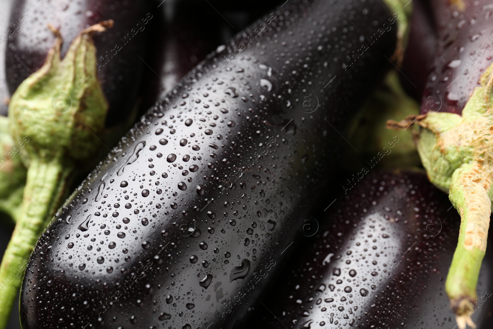 Many raw ripe eggplants with water drops as background, closeup Photo of Many raw ripe eggplants with water drops as background, closeup