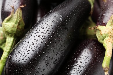 Photo of Many raw ripe eggplants with water drops as background, closeup
