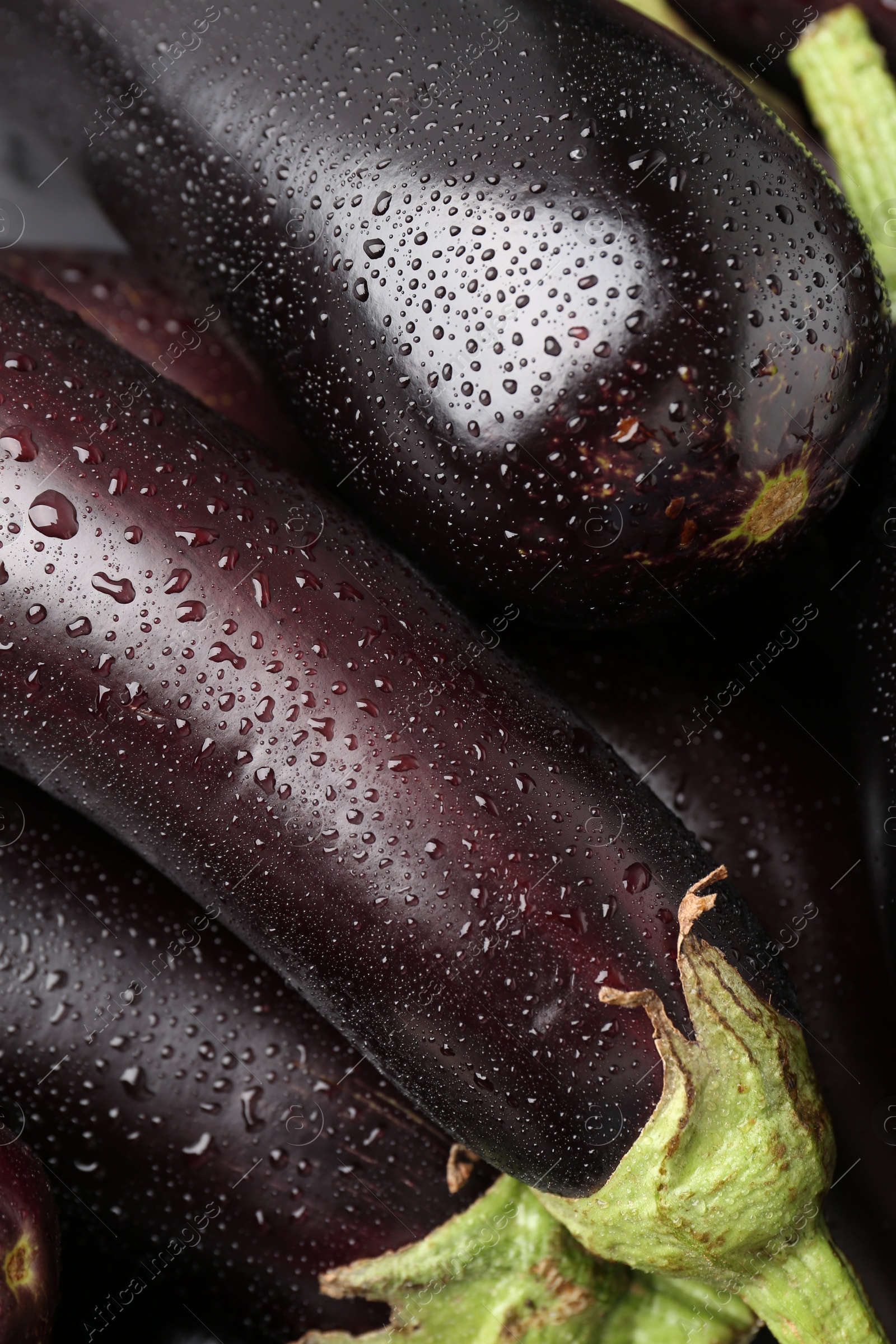 Many raw ripe eggplants with water drops as background, top view Photo of Many raw ripe eggplants with water drops as background, top view