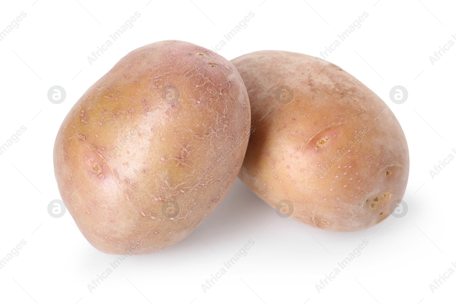 Photo of Two fresh ripe potatoes isolated on white