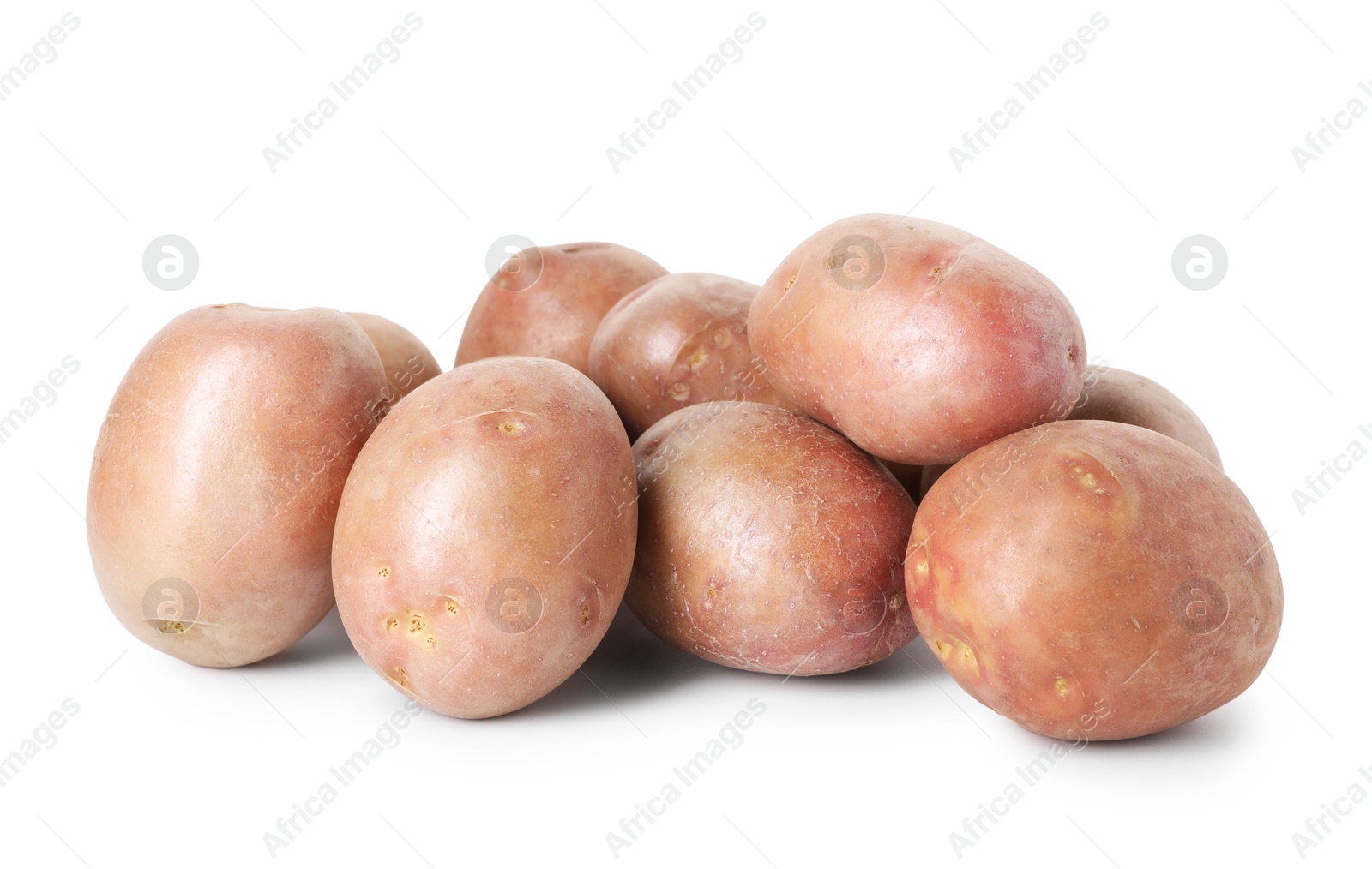 Photo of Many fresh ripe potatoes isolated on white