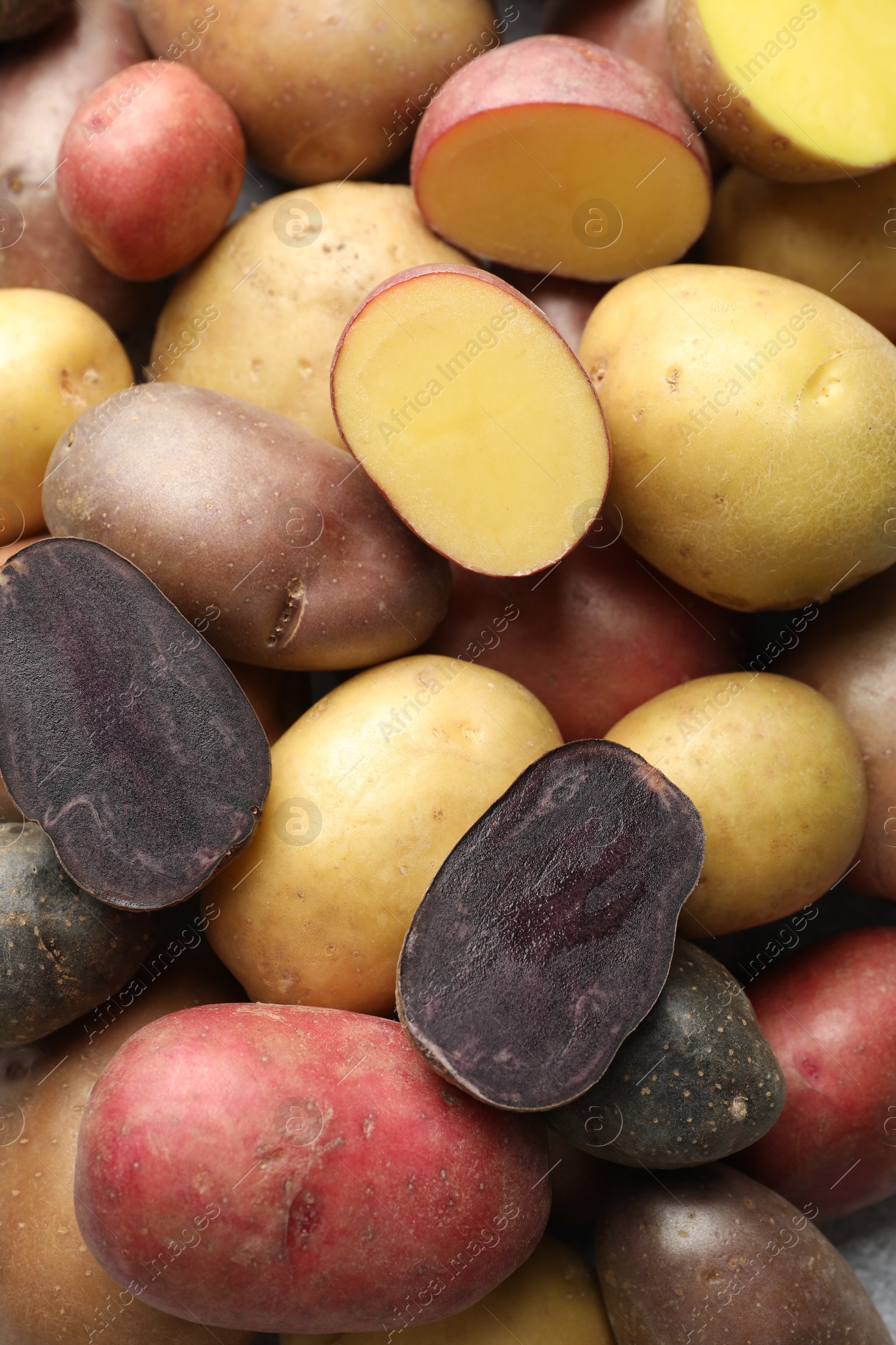 Photo of Different types of potatoes as background, top view