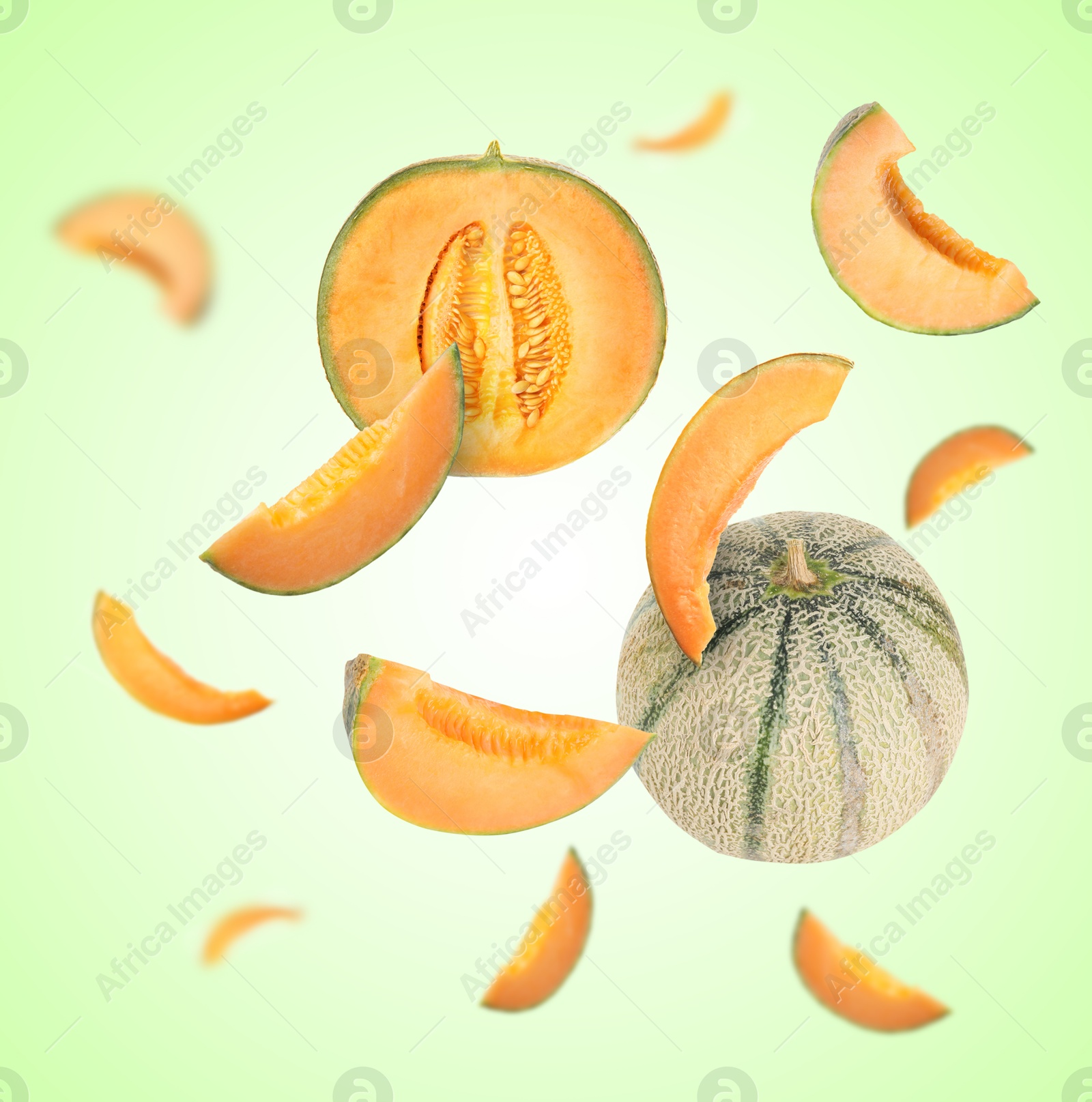 Tasty ripe Cantaloupe melons swirling in air against green gradient background Image of Tasty ripe Cantaloupe melons swirling in air against green gradient background