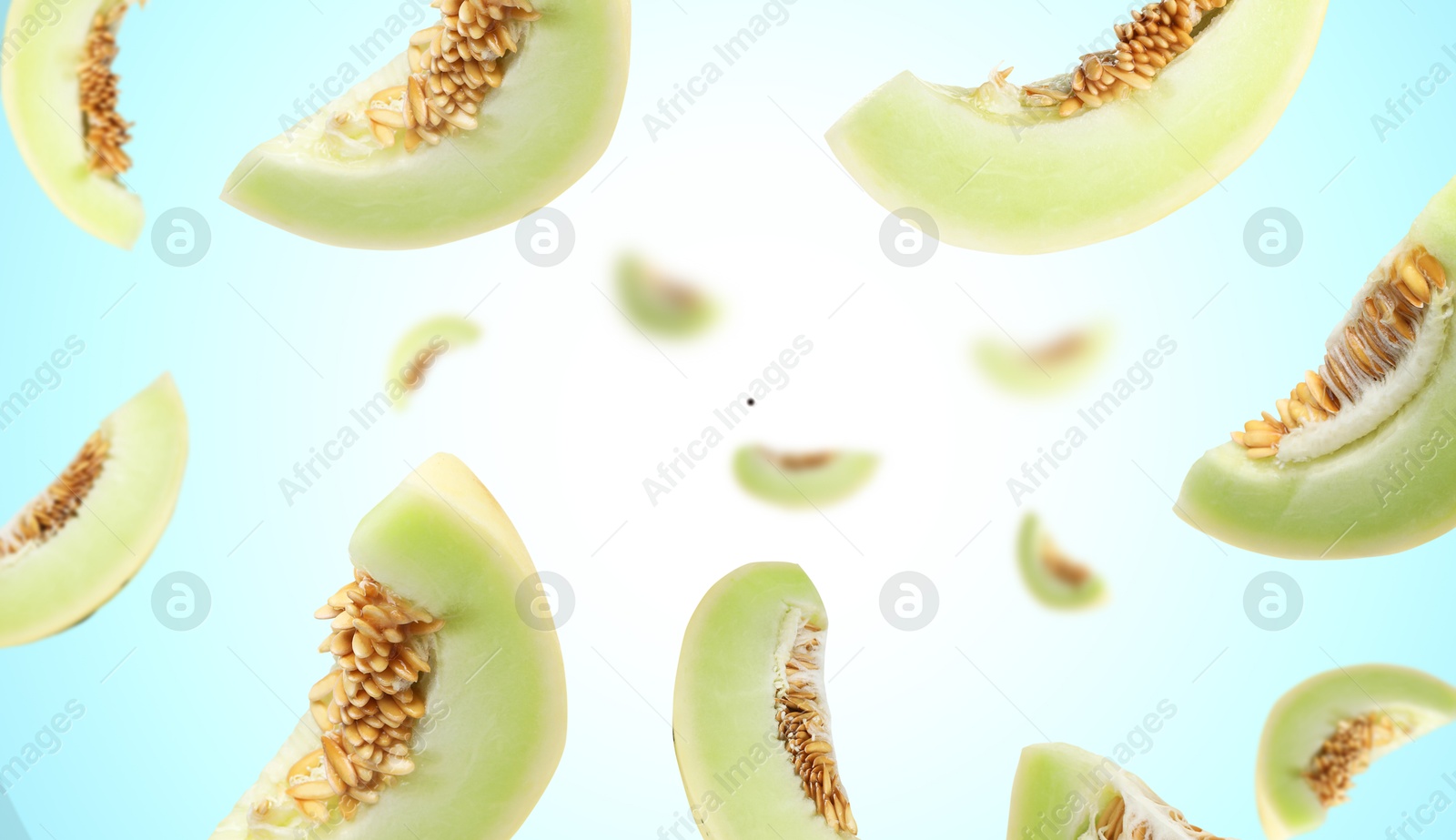 Cut fresh ripe melons swirling in air against light blue gradient background Image of Cut fresh ripe melons swirling in air against light blue gradient background