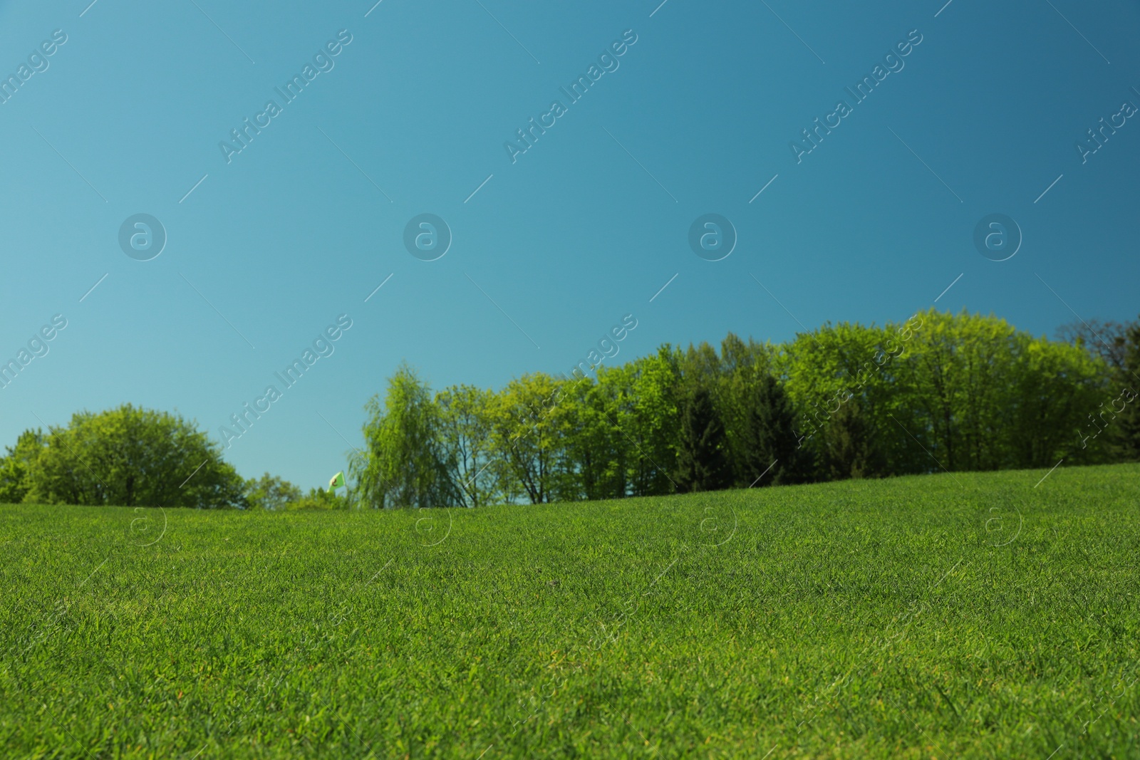 Beautiful view of landscape with fresh green grass and trees outdoors Photo of Beautiful view of landscape with fresh green grass and trees outdoors