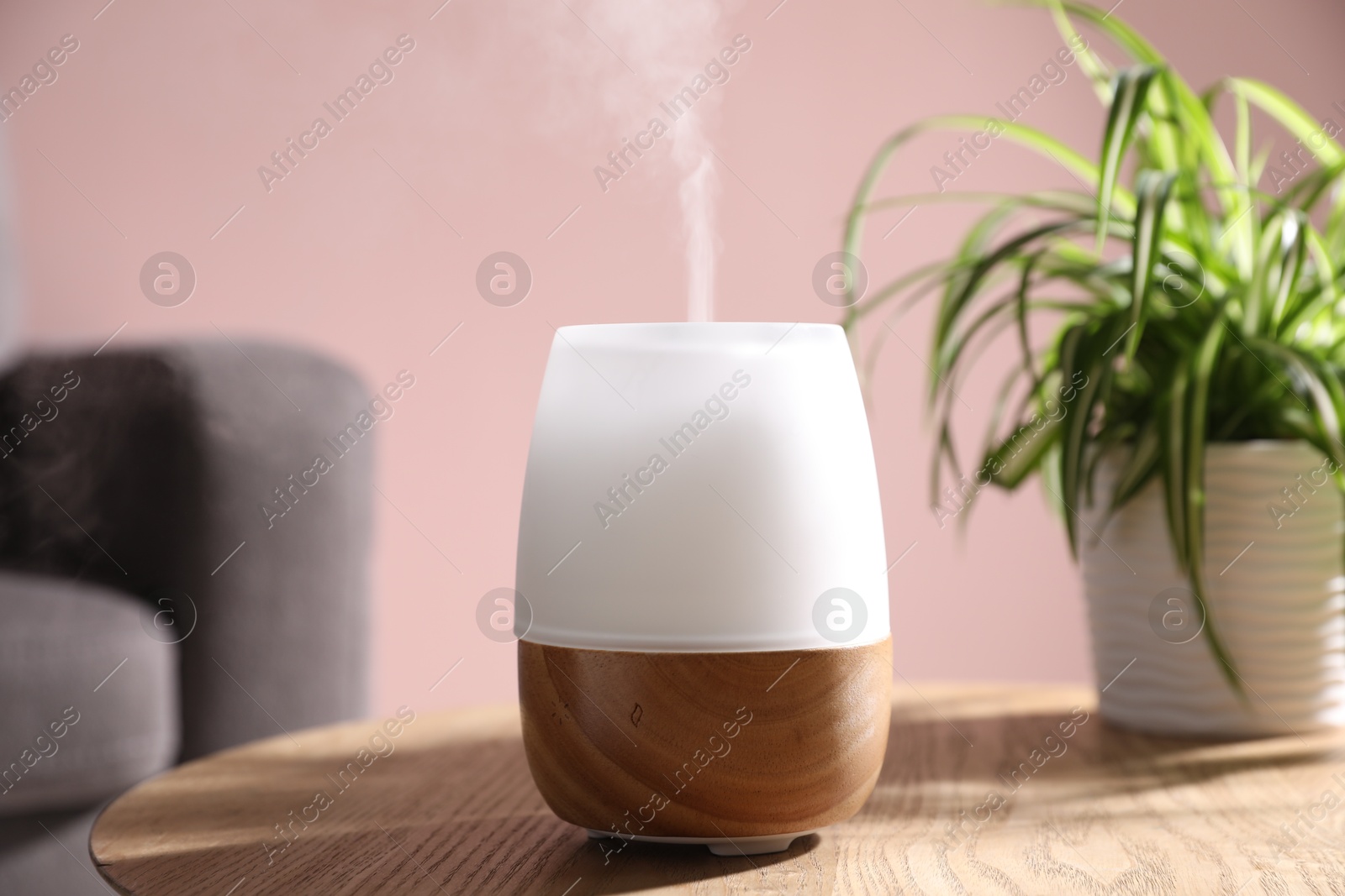 One stylish aroma lamp and houseplant on wooden table against pink wall, closeup Photo of One stylish aroma lamp and houseplant on wooden table against pink wall, closeup