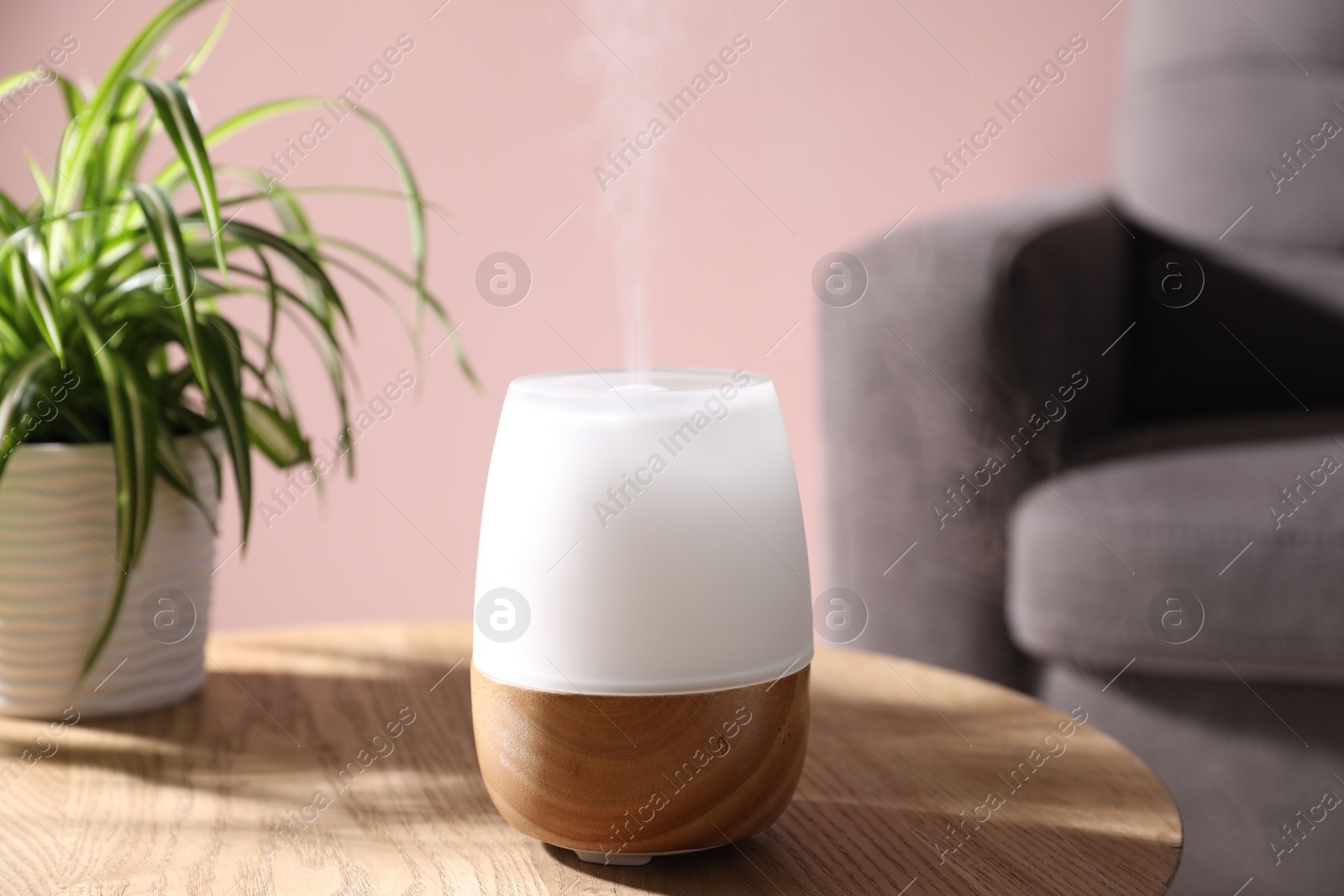 One stylish aroma lamp and houseplant on wooden table against pink wall, closeup Photo of One stylish aroma lamp and houseplant on wooden table against pink wall, closeup