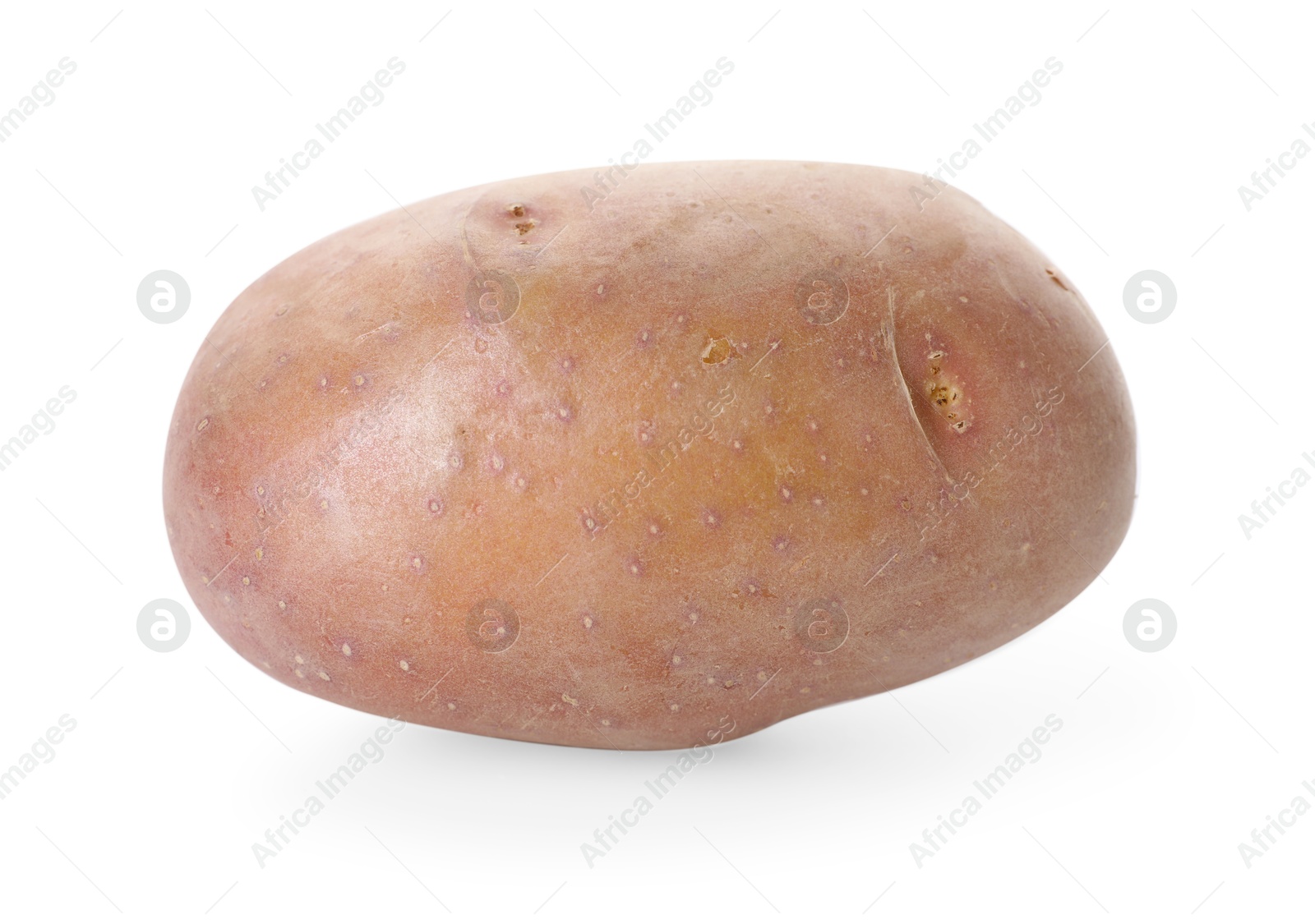 Photo of One fresh ripe potato isolated on white