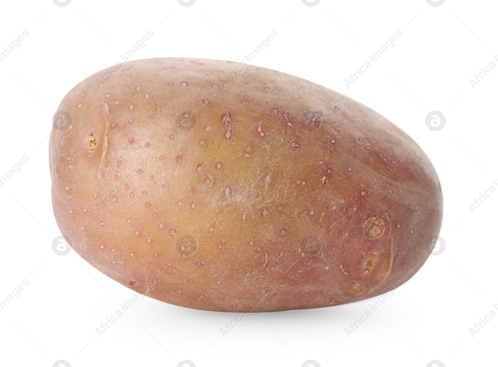 One fresh ripe potato isolated on white Photo of One fresh ripe potato isolated on white