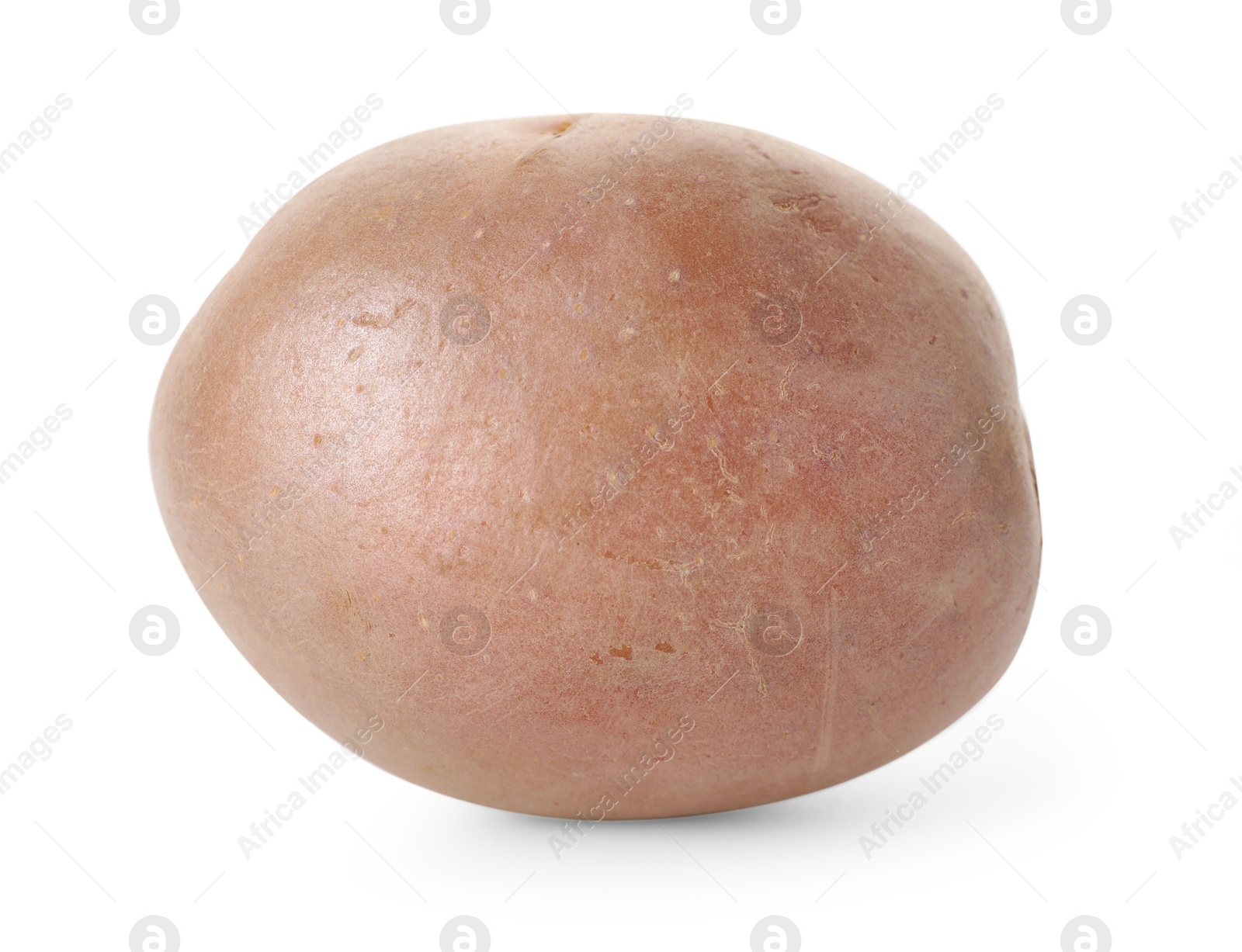Photo of One fresh ripe potato isolated on white