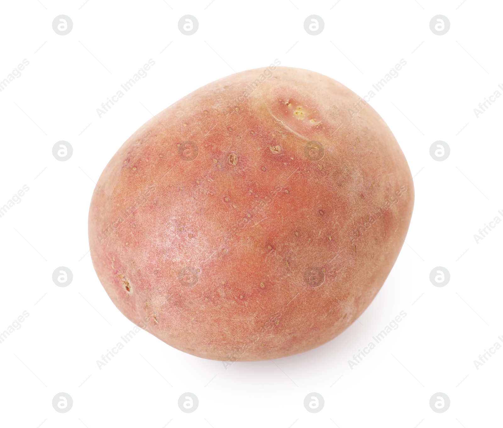 Photo of One fresh ripe potato isolated on white