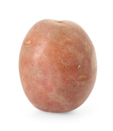 Photo of One fresh ripe potato isolated on white