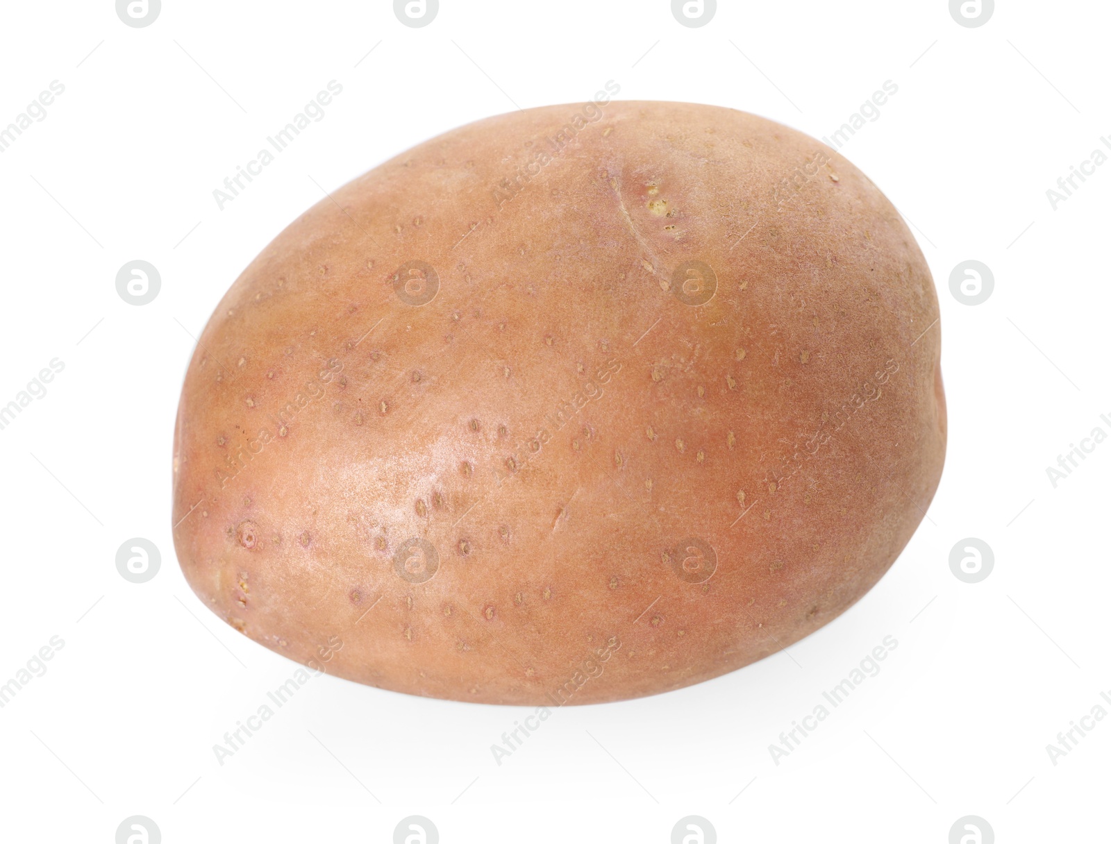 One fresh ripe potato isolated on white Photo of One fresh ripe potato isolated on white