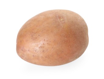 Photo of One fresh ripe potato isolated on white