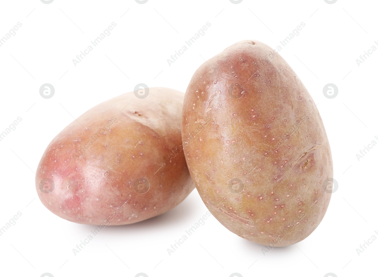 Two fresh ripe potatoes isolated on white Photo of Two fresh ripe potatoes isolated on white