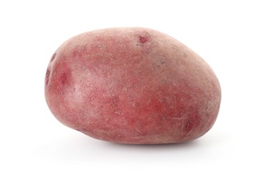 Photo of Fresh ripe red potato isolated on white