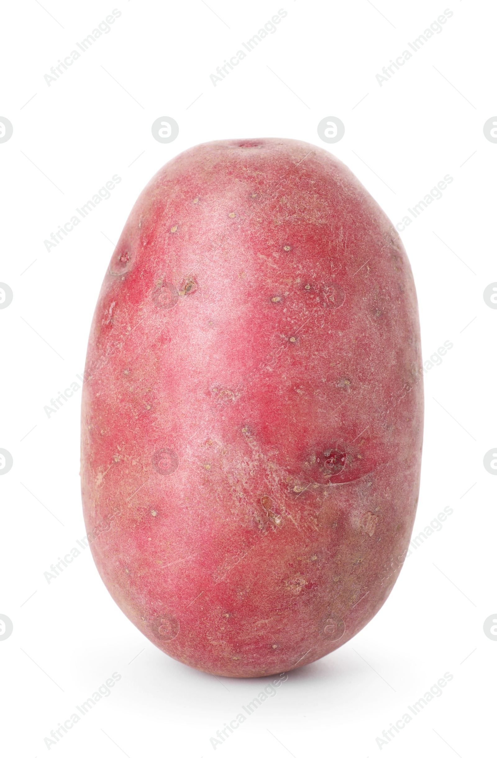 Photo of Fresh ripe red potato isolated on white