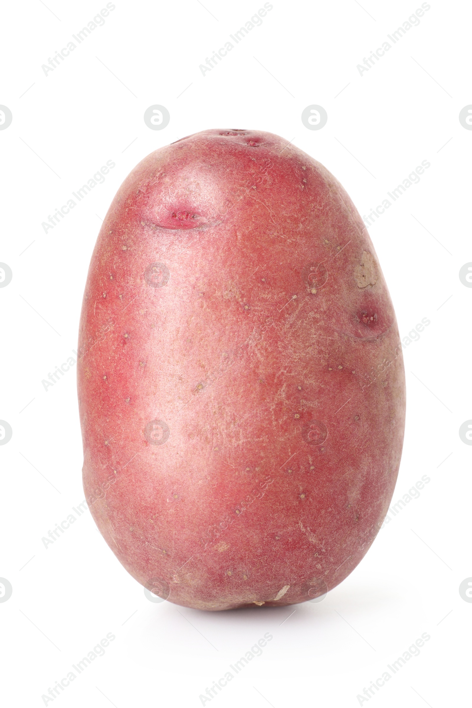 Photo of Fresh ripe red potato isolated on white