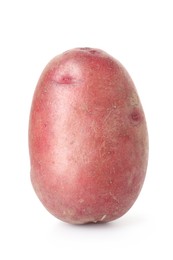 Photo of Fresh ripe red potato isolated on white