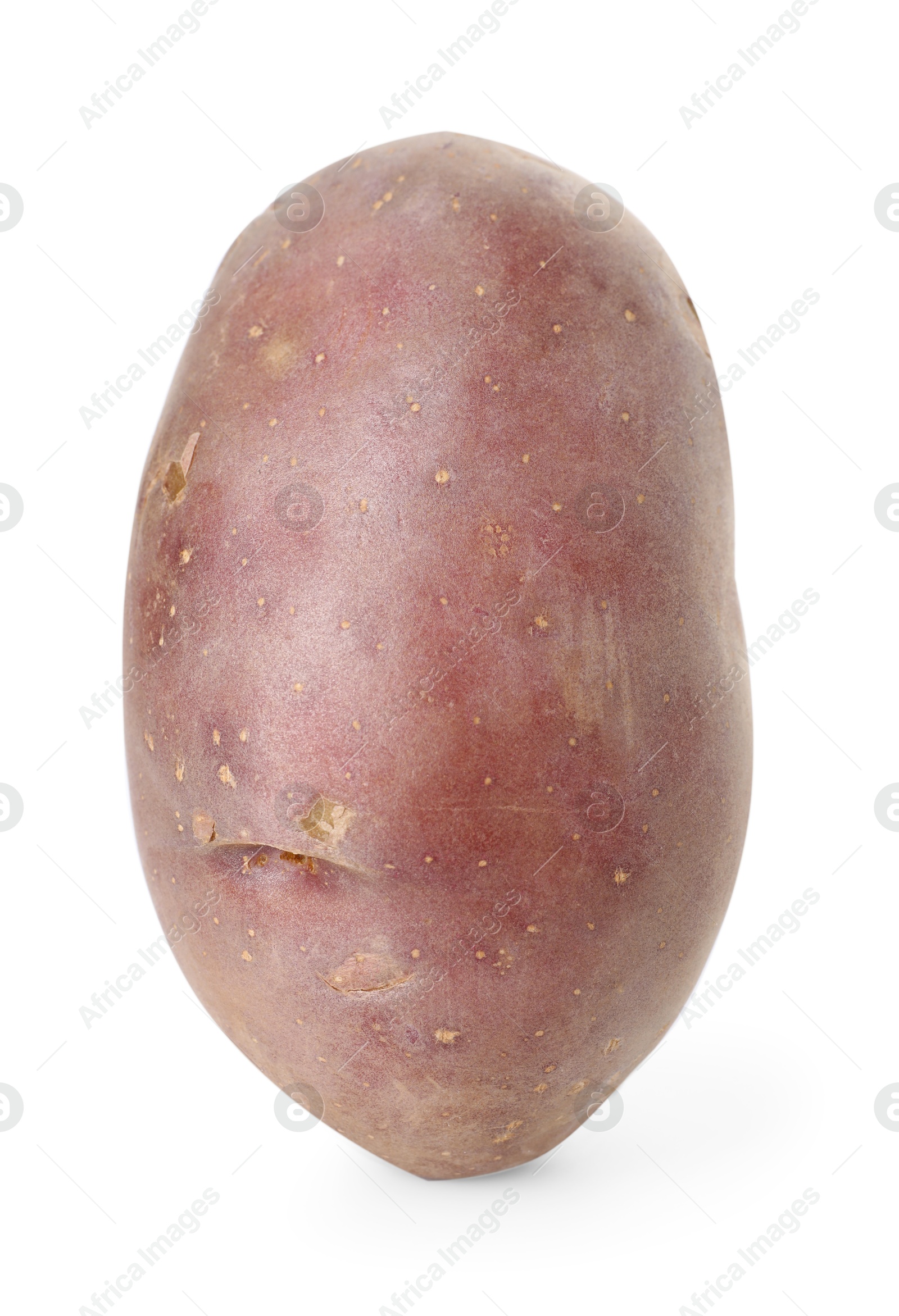 Photo of Fresh ripe red potato isolated on white