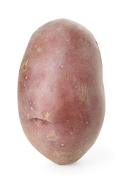 Photo of Fresh ripe red potato isolated on white