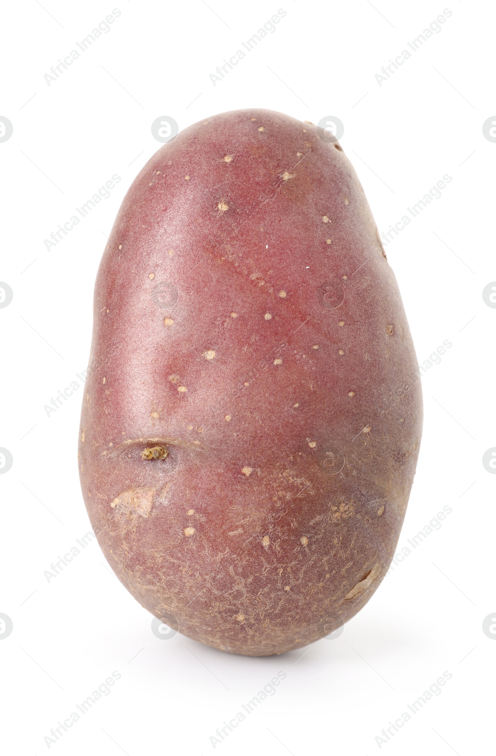 Photo of Fresh ripe red potato isolated on white