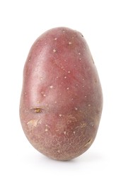 Photo of Fresh ripe red potato isolated on white